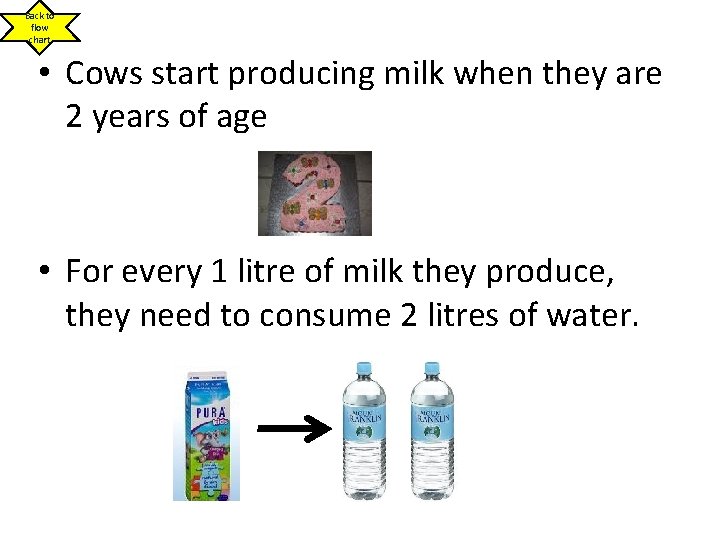 Back to flow chart • Cows start producing milk when they are 2 years