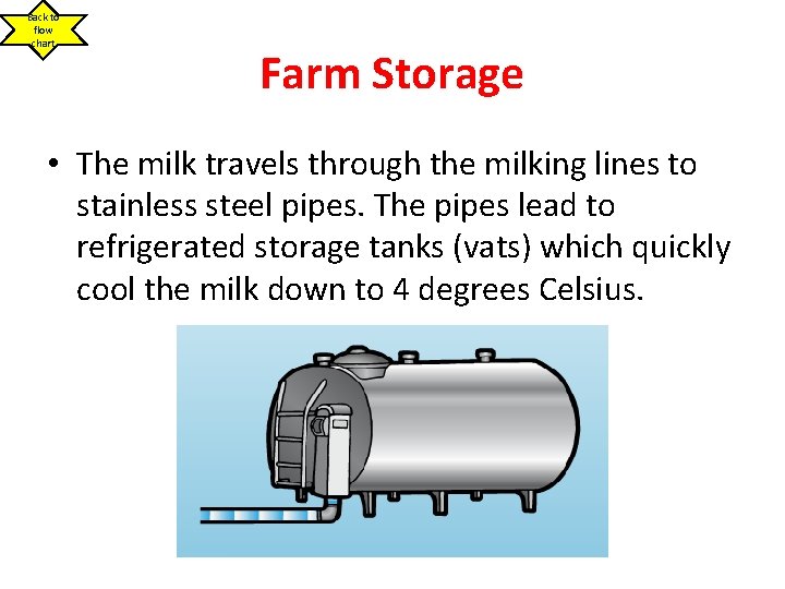 Back to flow chart Farm Storage • The milk travels through the milking lines