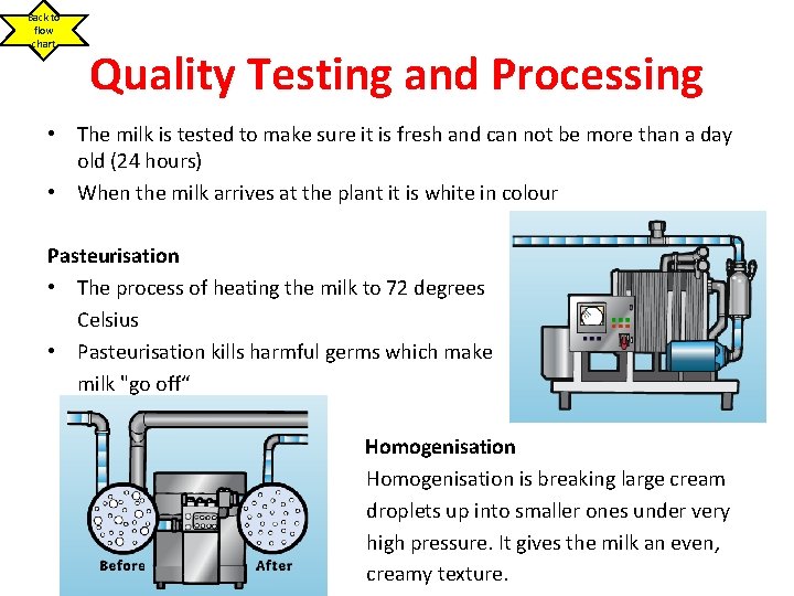 Back to flow chart Quality Testing and Processing • The milk is tested to