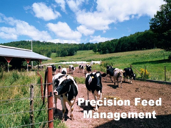 Precision Feed Management 