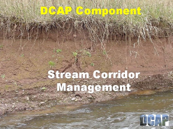 DCAP Component Stream Corridor Management 