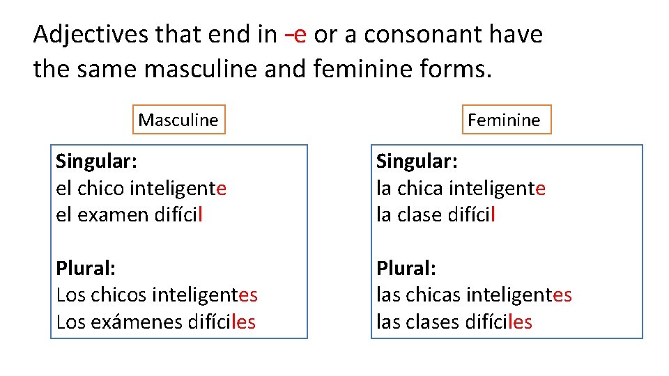 Adjectives that end in –e or a consonant have the same masculine and feminine