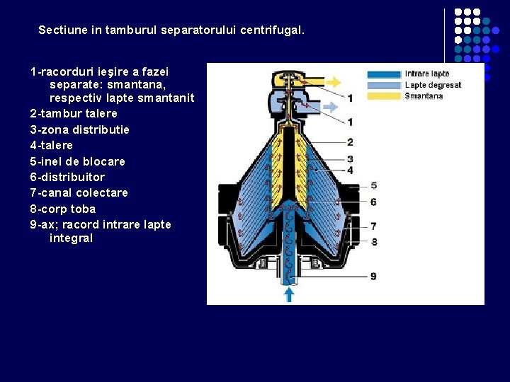 Sectiune in tamburul separatorului centrifugal. 1 -racorduri ieşire a fazei separate: smantana, respectiv lapte Sectiune in tamburul separatorului centrifugal. 1 -racorduri ieşire a fazei separate: smantana, respectiv lapte