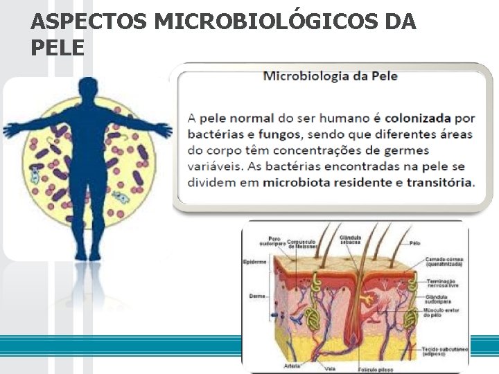 ASPECTOS MICROBIOLÓGICOS DA PELE 