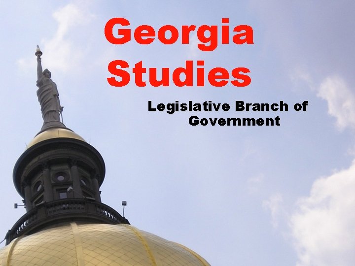 Georgia Studies Legislative Branch of Government 