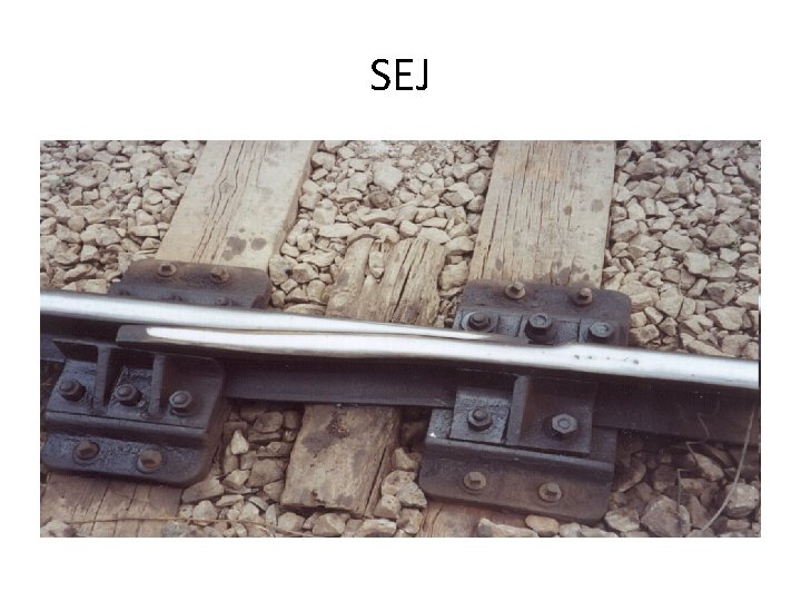 SEJ SEJ