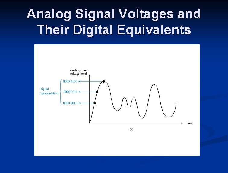 Analog Signal Voltages and Their Digital Equivalents 