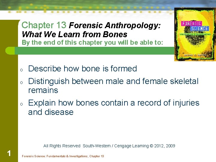 Chapter 13 Forensic Anthropology: What We Learn from Bones By the end of this