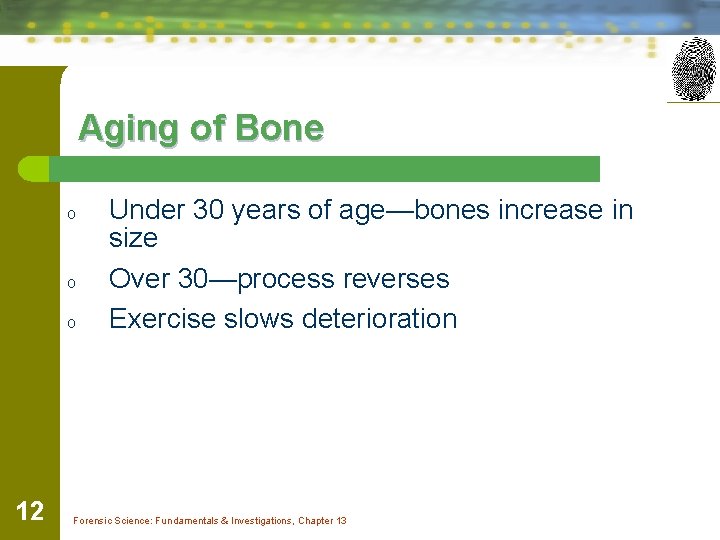 Aging of Bone o o o 12 Under 30 years of age—bones increase in