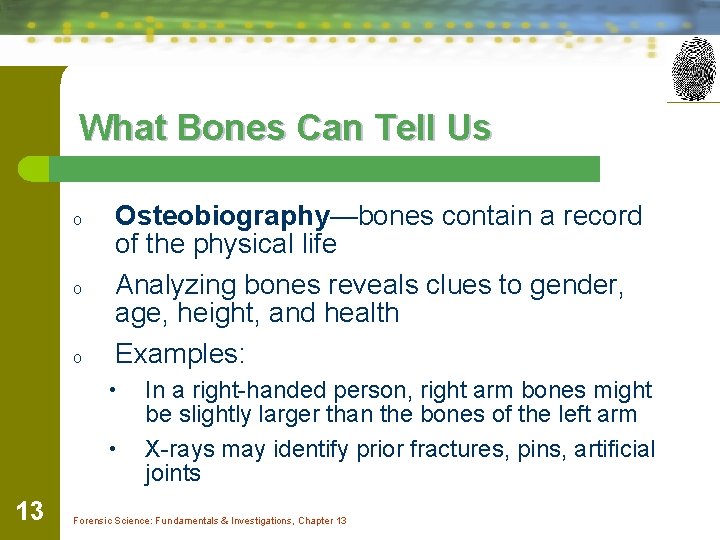 What Bones Can Tell Us o o o Osteobiography—bones contain a record of the