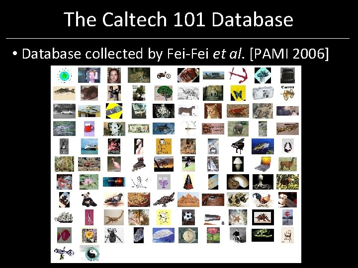 The Caltech 101 Database • Database collected by Fei-Fei et al. [PAMI 2006] 