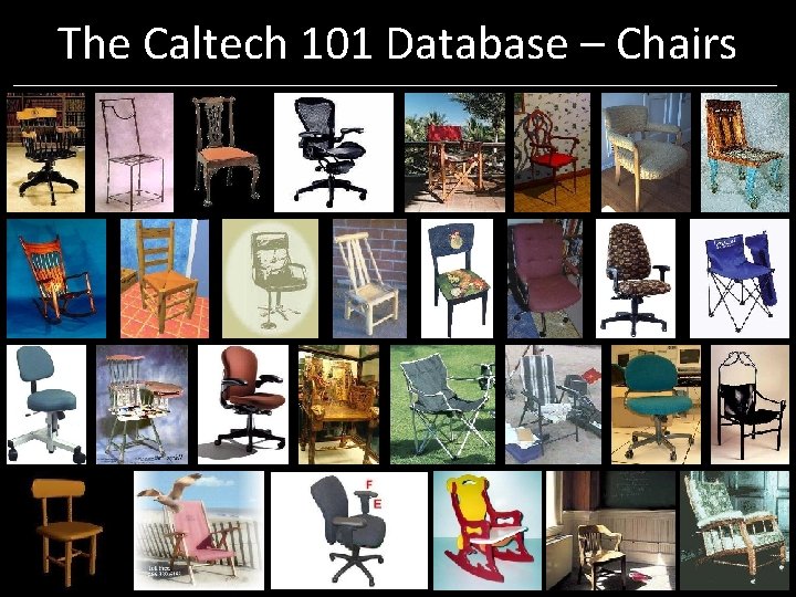 The Caltech 101 Database – Chairs The Caltech 101 Database – Chairs
