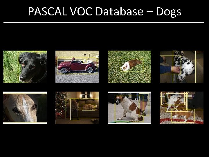 PASCAL VOC Database – Dogs PASCAL VOC Database – Dogs