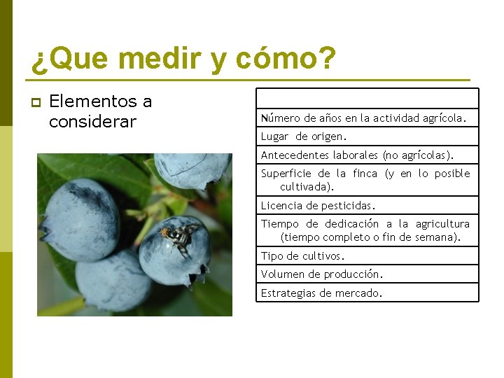 ¿Que medir y cómo? p Elementos a considerar Número de años en la actividad