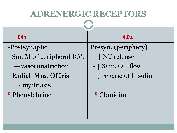 ADRENERGIC RECEPTORS α 1 α 2 -Postsynaptic Presyn. (periphery) - Sm. M of peripheral