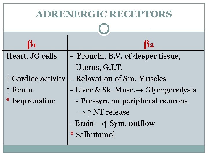 ADRENERGIC RECEPTORS β 1 Heart, JG cells β 2 - Bronchi, B. V. of