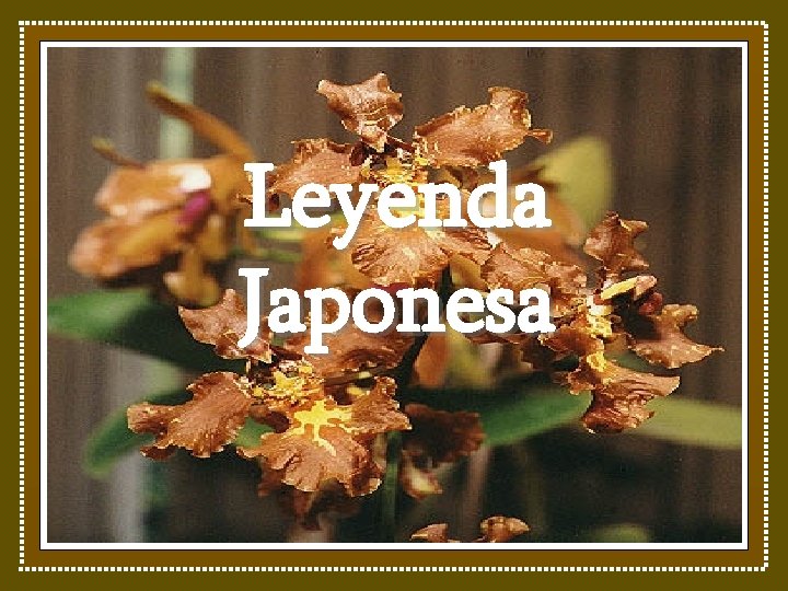 Leyenda Japonesa 