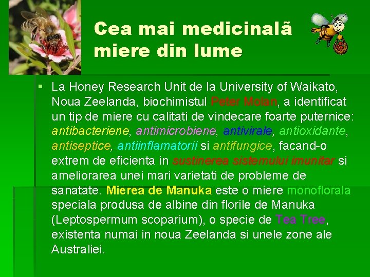 Cea mai medicinalã miere din lume § La Honey Research Unit de la University