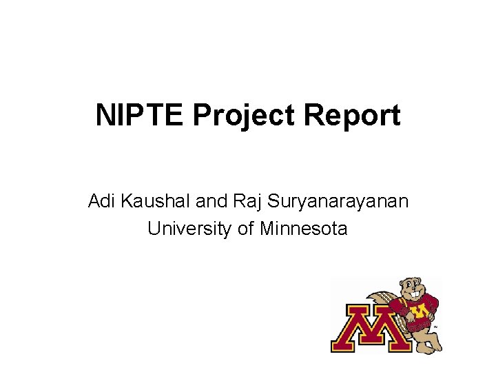 NIPTE Project Report Adi Kaushal and Raj Suryanarayanan University of Minnesota 