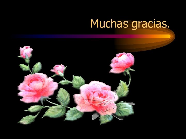 Muchas gracias. 