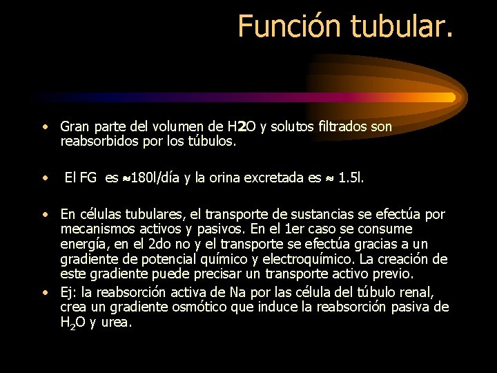 Función tubular. • Gran parte del volumen de H 2 O y solutos filtrados