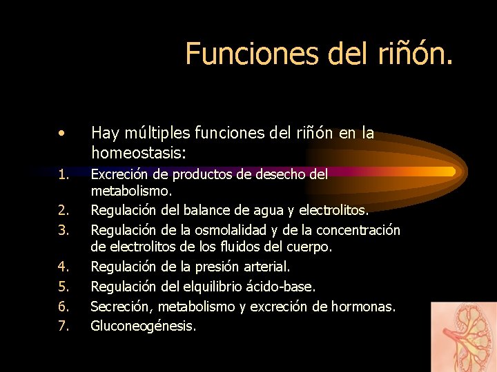 Funciones del riñón. • Hay múltiples funciones del riñón en la homeostasis: 1. Excreción