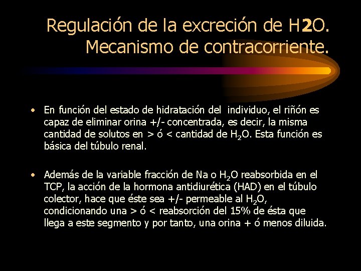 Regulación de la excreción de H 2 O. Mecanismo de contracorriente. • En función