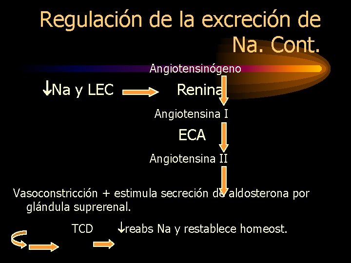Regulación de la excreción de Na. Cont. Angiotensinógeno Na y LEC Renina Angiotensina I