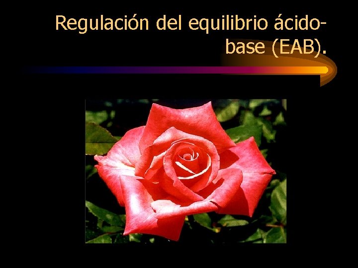 Regulación del equilibrio ácidobase (EAB). 