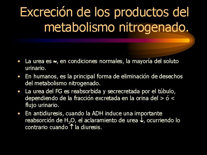 Excreción de los productos del metabolismo nitrogenado. • La urea es , en condiciones