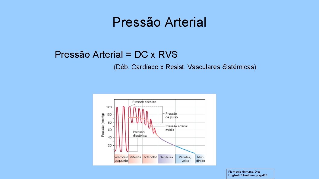 Pressão Arterial = DC x RVS (Déb. Cardíaco x Resist. Vasculares Sistémicas) Fisiologia Humana,