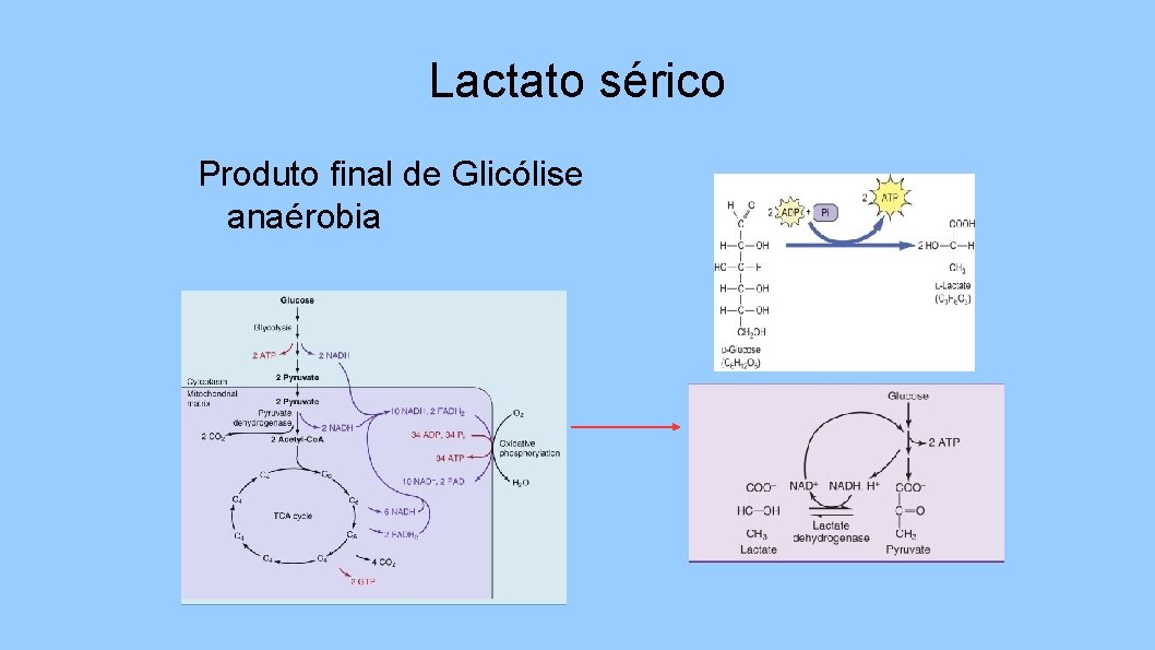 Lactato sérico Produto final de Glicólise anaérobia 
