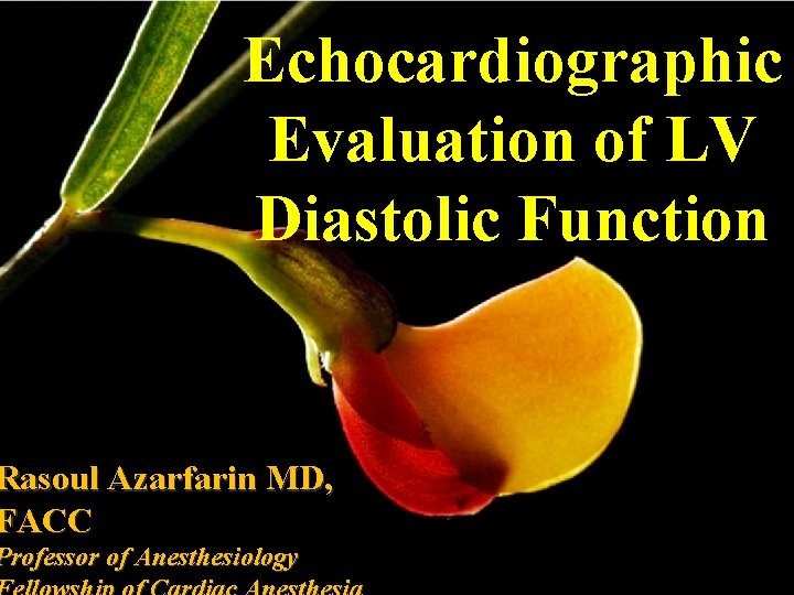 Echocardiographic Evaluation of LV Diastolic Function Rasoul Azarfarin MD, FACC Professor of Anesthesiology 