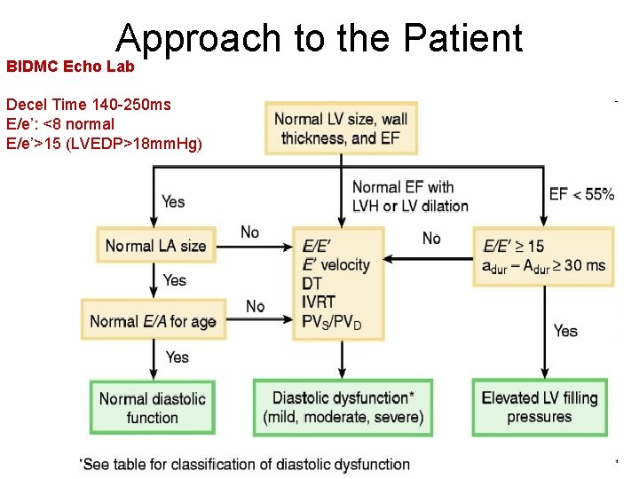 Approach to the Patient BIDMC Echo Lab Decel Time 140 -250 ms E/e’: <8