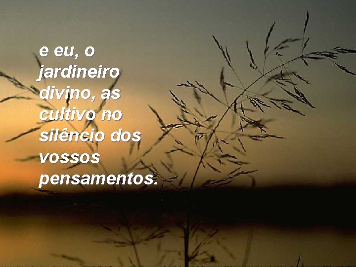 e eu, o jardineiro divino, as cultivo no silêncio dos vossos pensamentos. e eu, o jardineiro divino, as cultivo no silêncio dos vossos pensamentos.