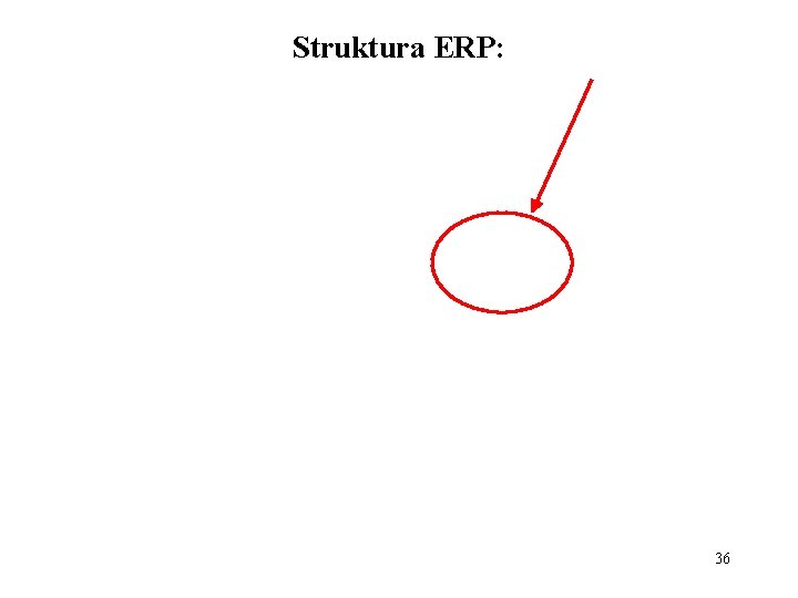 Struktura ERP: 36 