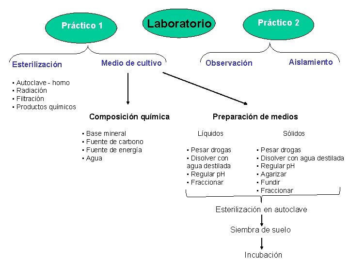Práctico 1 Esterilización Laboratorio Medio de cultivo Práctico 2 Aislamiento Observación • Autoclave -