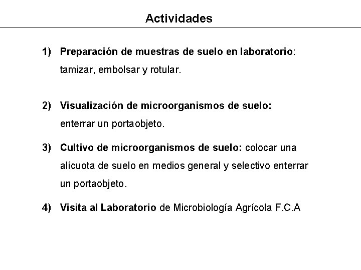 Actividades 1) Preparación de muestras de suelo en laboratorio: tamizar, embolsar y rotular. 2)