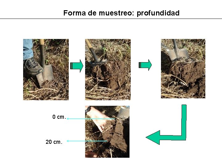 Forma de muestreo: profundidad 0 cm. 20 cm. 