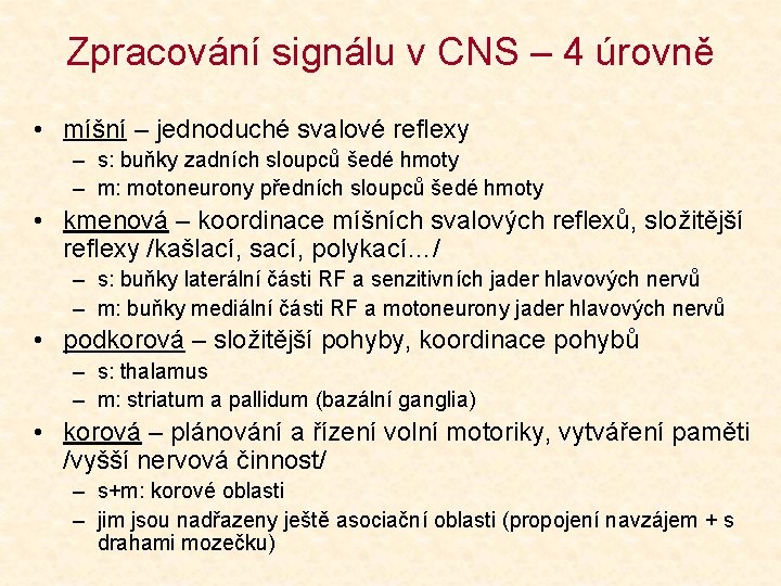 Zpracování signálu v CNS – 4 úrovně • míšní – jednoduché svalové reflexy –