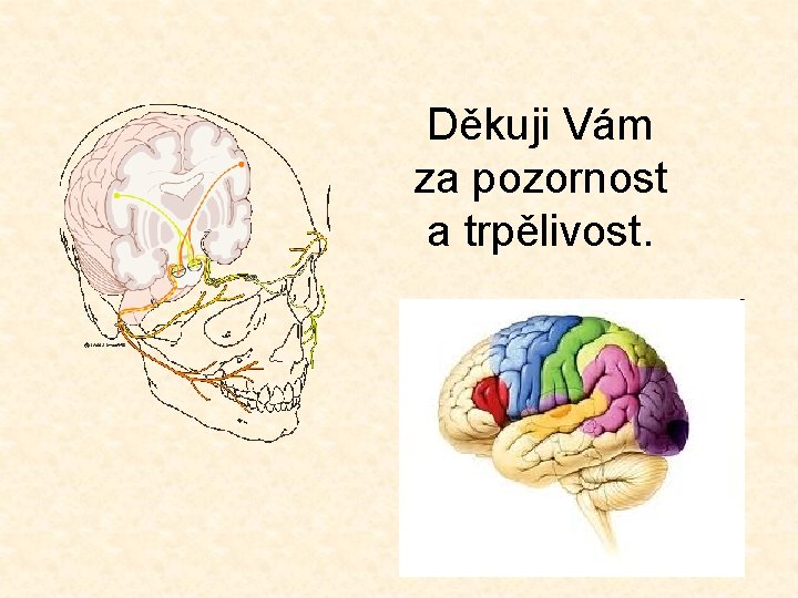 Děkuji Vám za pozornost a trpělivost. 