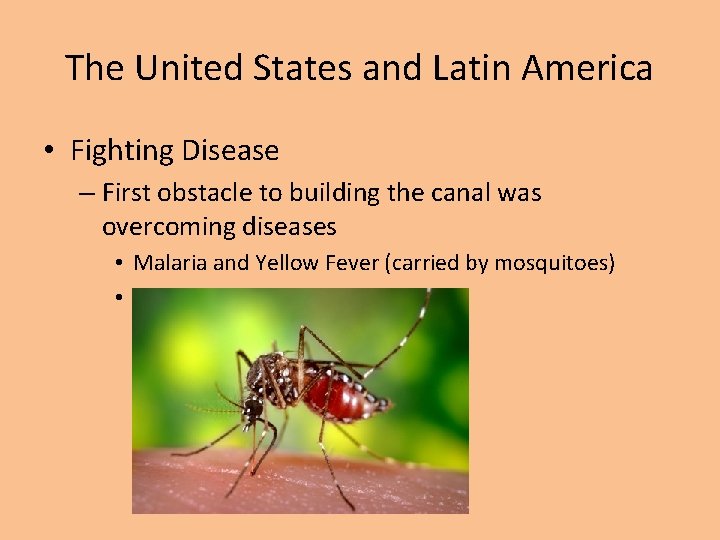 The United States and Latin America • Fighting Disease – First obstacle to building