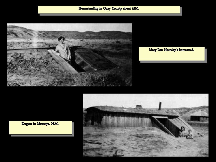 Homesteading in Quay County about 1900. Mary Lou Hornsby’s homestead. Dugout in Montoya, N.