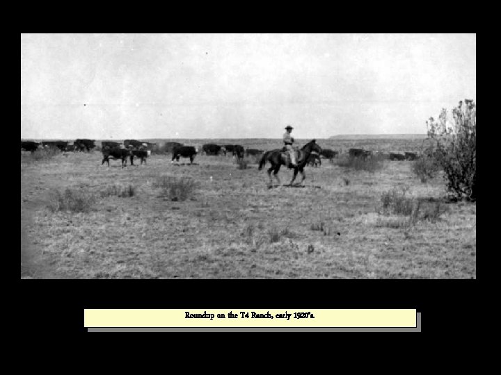 Roundup on the T 4 Ranch, early 1920’s. 