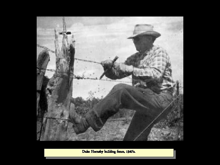 Duke Hornsby building fence, 1940’s. 
