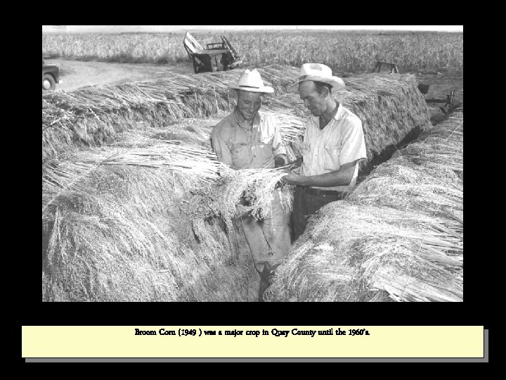 Broom Corn (1949 ) was a major crop in Quay County until the 1960’s.