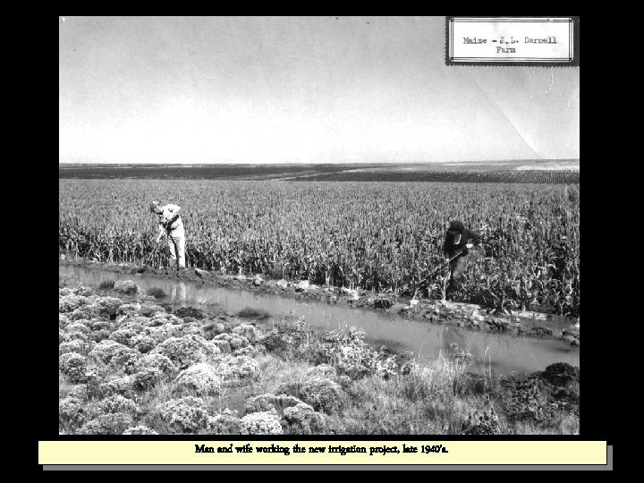 Man and wife working the new irrigation project, late 1940’s. 