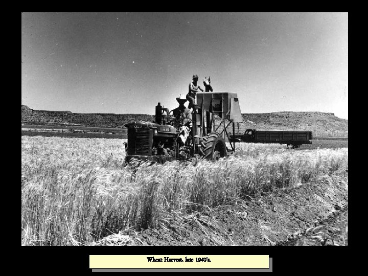 Wheat Harvest, late 1940’s. 