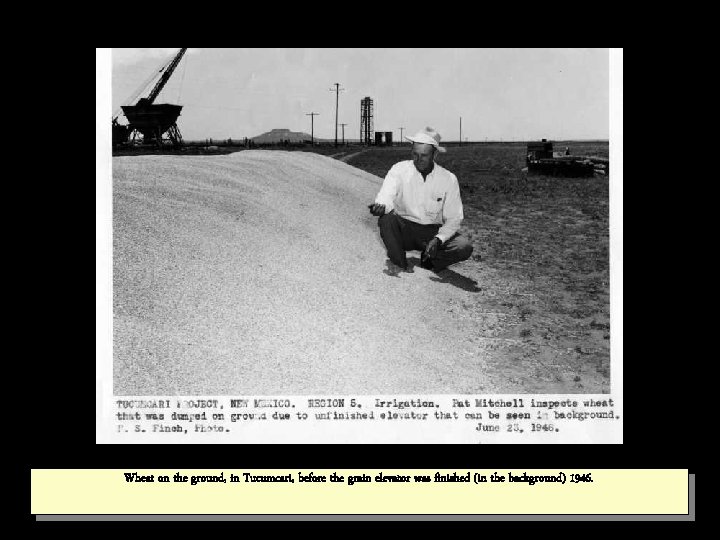 Wheat on the ground, in Tucumcari, before the grain elevator was finished (in the