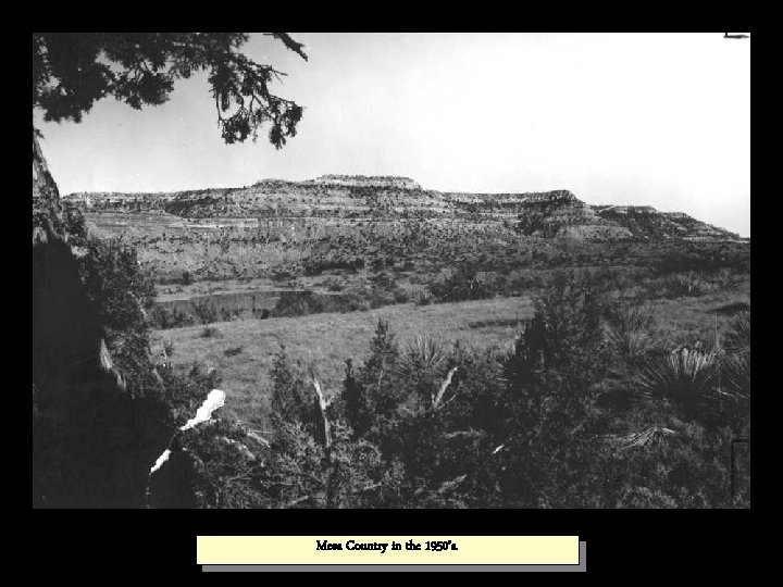 Mesa Country in the 1950’s. 